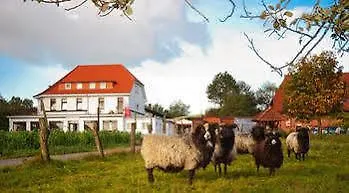 Akzent Cordes&restaurant Am Rosengarten Hotel Sottorf